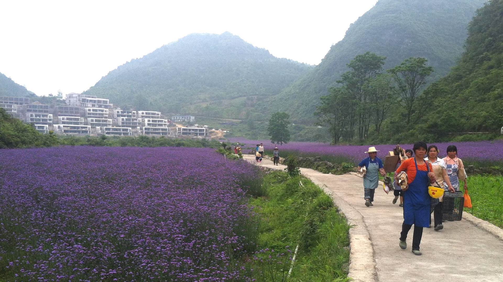 北京飞伦敦,在阿斯塔纳机场转机,需要过境签证